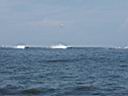 Al Copeland Powerboat Races (55).JPG